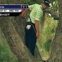 Sergio Garcia’s Merged Tree Climbing and Golf