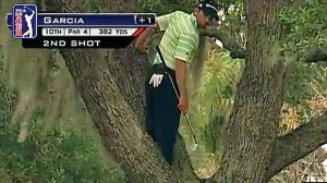 Sergio Garcia’s Merged Tree Climbing and Golf